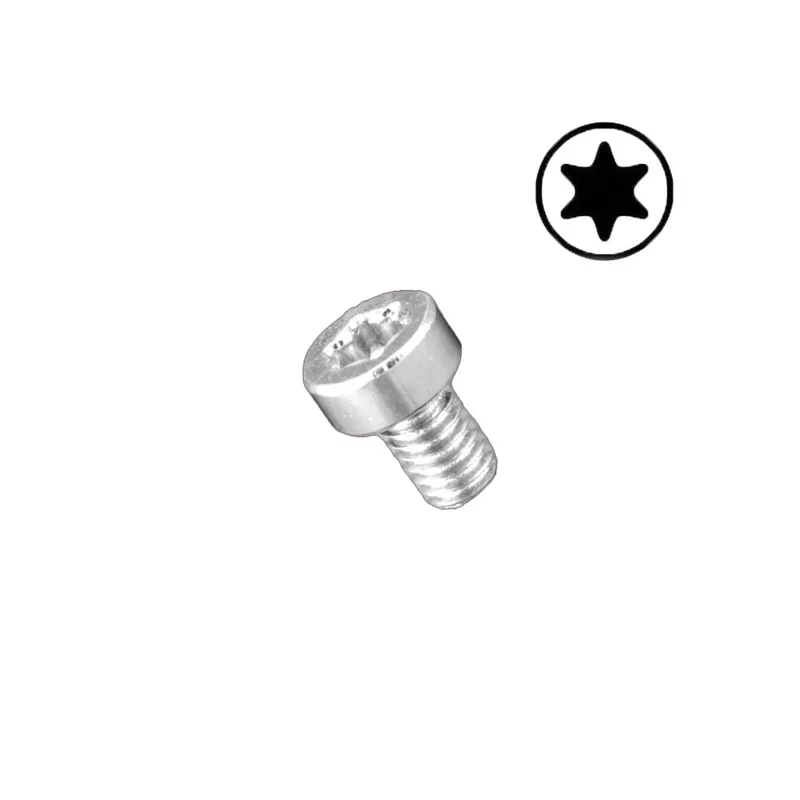 Śruba Torx OEM 3676 Oferta czasowa